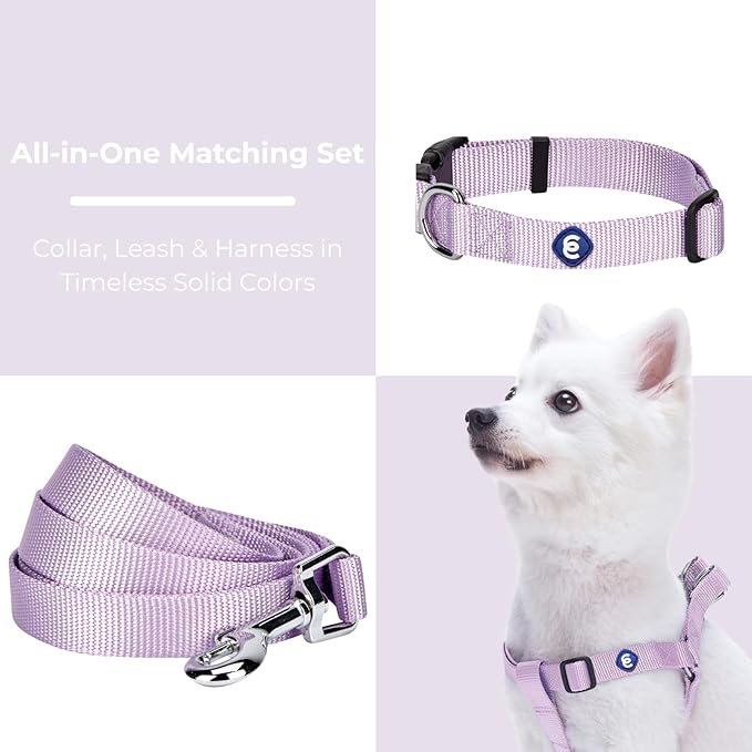 Blueberry Pet Essentials Matching Harness, Collar & Leash Set in Lavender, Adjustable Nylon for Medium & Large Breeds