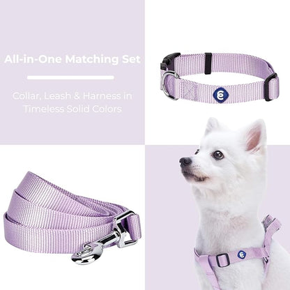 Blueberry Pet Essentials Matching Harness, Collar & Leash Set in Lavender, Adjustable Nylon for Medium & Large Breeds
