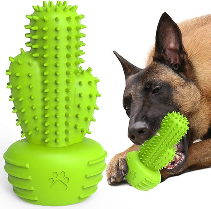 Pamlulu Dog Chew Toys & Teeth Cleaning Brush - Dental for Small, Medium & Large Dogs, Rubber Squeaky Toys for Aggressive Chewers, Cactus Tough Toys