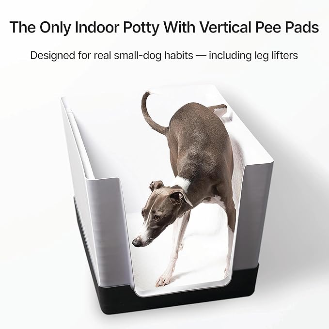 Indoor Dog Potty with High Walls and Low Entry for Small Dogs — Vertical Pad Holder, Splash Guard, and Clean Modern Design by DoggyBathroom (Regular, Light Grey)