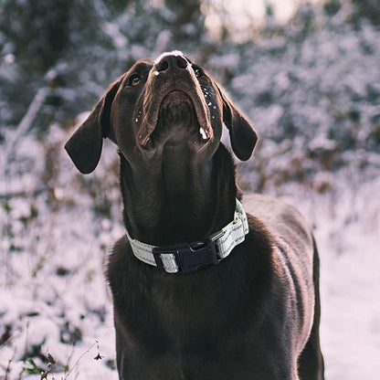 Hikiko Reflective Martingale Dog Collars for Large Dogs with Buckle Nylon Training Walking No Pull Collars, Sliver Gray, L