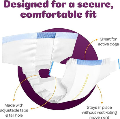 Inspire Pet Care Dog Diapers Female Dogs | Bulk Value Doggie Incontinence, Accidents, for Heat, Pee or Period and Housebreaking (Large (60 Count))