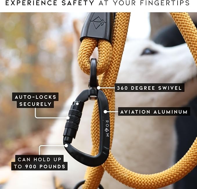 MADE TO ROAM Premium Explorer Leash - Climbing Rope Leash with Autolocking Aviation Aluminum Carabiner - Florida Seaside, 6ft