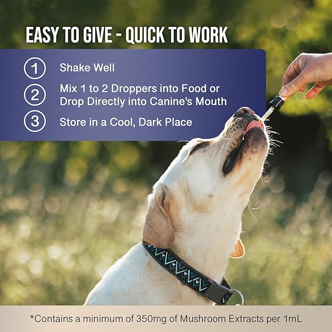 MycoDog Breathe - Respiratory Support Supplement for Dogs - Breathing Comfort & Airway Health - French Bulldogs, Pugs, & Flat-Faced Breeds - Natural Mushroom and Ashwagandha Drops - 2 oz