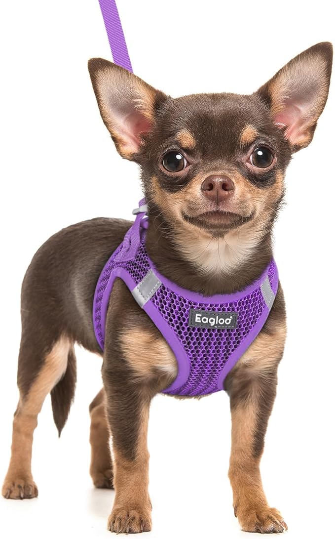 Eagloo Small Dog Harness and Leash Set, Step in Puppy Vest with Breathable Soft Mesh, Walking Reflective Pet Harness for Small Dogs, Purple, XXS