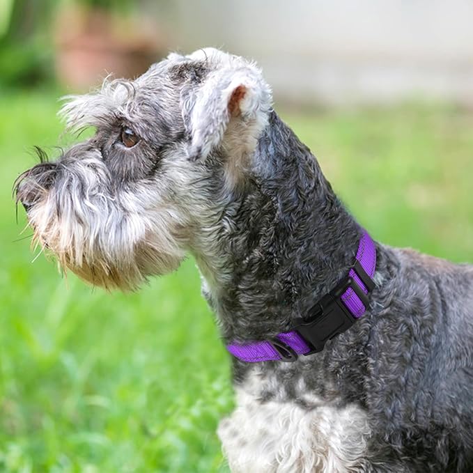 Joytale Reflective Dog Collar, Soft Neoprene Padded, Metal D-Ring, Nylon Pet Collar Adjustable for Medium Dogs, Purple, M