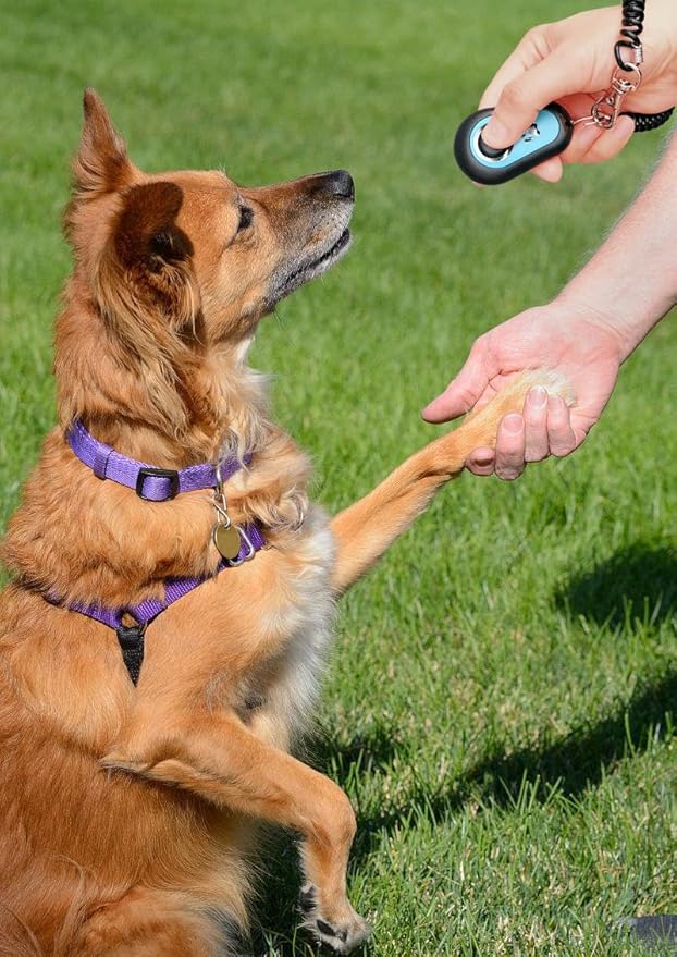 Pet Clicker for Dogs/Cats/Horses/Birds or Other Animals - Clickers for Training (Blue + Green)