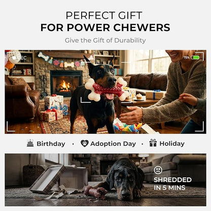 Kseroo Indestructible Dog Toys for Aggressive Chewers: Beef Flavored Hard Nylon Bone Chew Toys, Tough Dog Chew Toys for Large Dogs, Dog Toys to Keep Them Busy for Medium Large Breed (20-80 lbs), Red