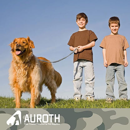 AUROTH Heavy Duty Dog Leash for Large Breeds, Bungee No Pull Leash with Shock Absorption, 6FT with 2 Padded Handles