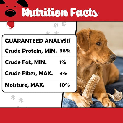Winni Treats Elk Antlers for Dogs - Single Ingredient, Preservative-Free, Premium Shed, Grade A Split Elk Antler Dog Chew, High in Protein, Calcium for Teeth, Low in Fat, Dog Treat Antler (2 Pieces)