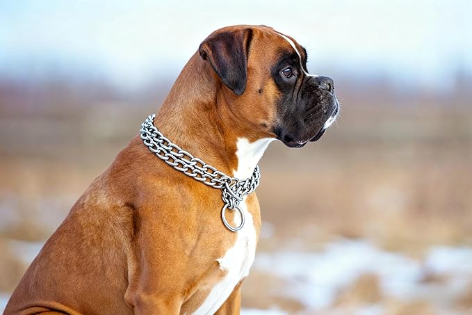 Silver Dog Choker Chain, Double Row Martingale Chain Dog Collars, Chew Proof Metal Cuban Link Slip Collar Adjustable for Small Medium Large Breed Dogs (2 Row, M)