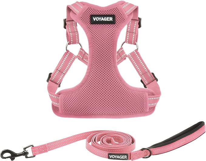Best Pet Supplies Voyager Adjustable Step-in Flex Breathable Mesh Dog Harness for Small Medium Large Dogs Leash Set (Pink), S