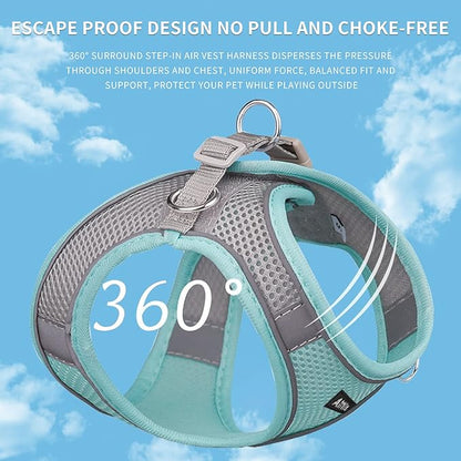 AIITLE Step in Dog Harness and Leash Set - No Pull Escape Proof Vest Harnesses with Soft Mesh and Reflective Bands, Adjustable Pet Outdoor Harnesses for Small and Medium Dogs Turquoise M