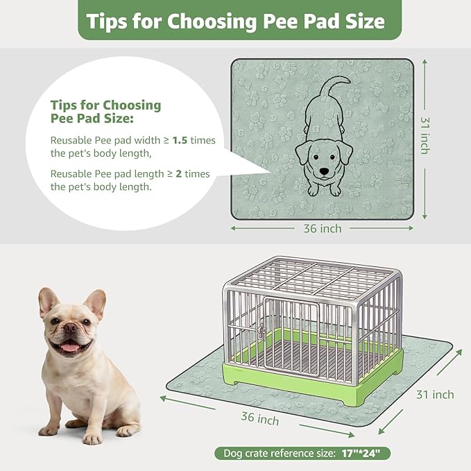 LOOBANI Washable Pee Pads for Dogs: 2 Pack Super Absorbent Reusable Puppy Pads, Leakproof and Waterproof Dog Training Pads Whelping Pads for Potty, Floor, Crate, Couch Bed and Travel, 31"x36"