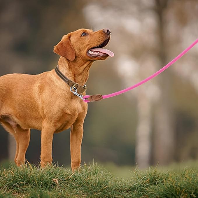Mile High Life Leather Dog Leash, Heavy Duty Strong Genuine Leather Handle Rope Leash Soft and Comfortable for Small Medium Large Dogs (Hot Pink, 48 Inch)