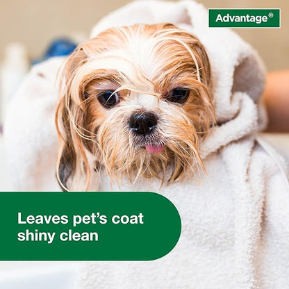 Advantage Dog Flea & Tick Shampoo for Puppies & Adult Dogs | Kills Fleas & Ticks | 24 oz.
