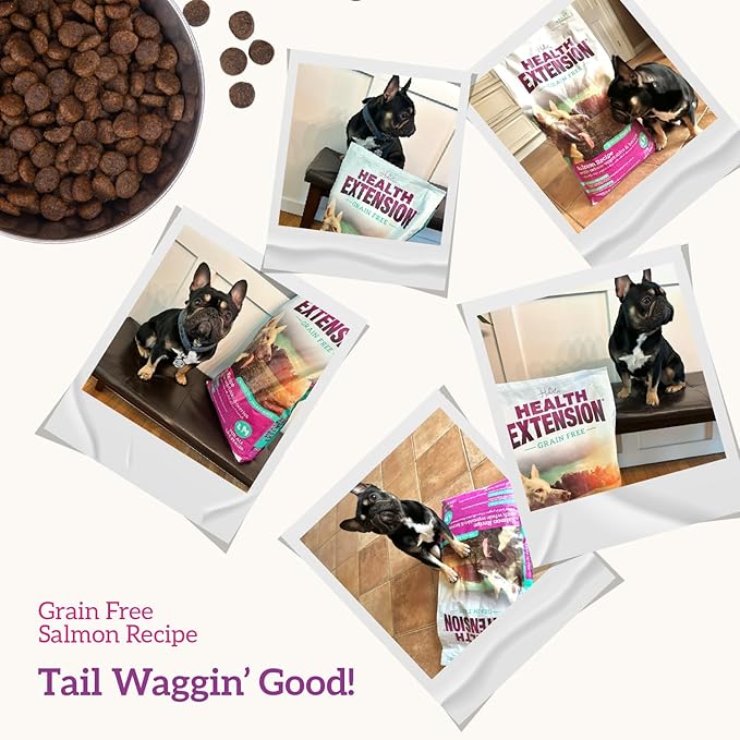 Health Extension Grain Free Salmon & Sweet Potato Dry Dog Food - 30+ Superfoods and Probiotics for All Life Stages (23.5 lb)