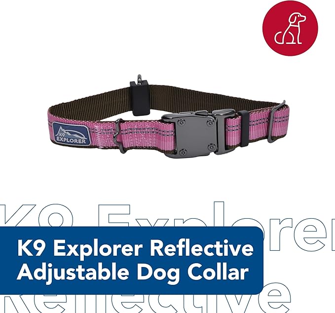 Coastal Pet K9 Explorer Reflective Adjustable Dog Collar - Comfortable Collar for the Outdoors - Durable, Lightweight Accessory with Side-Release Buckle - Berry, 1" x 12-18"