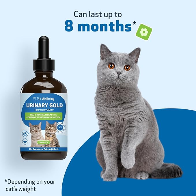 Pet Wellbeing Urinary Gold for Cats - Vet-Formulated Multi-Herb Urinary Tract Support - Feline Bladder Health & Urinary System Wellness - Holistic Cat Supplement - 2 oz (59ml) (4 fl oz (118 ml))