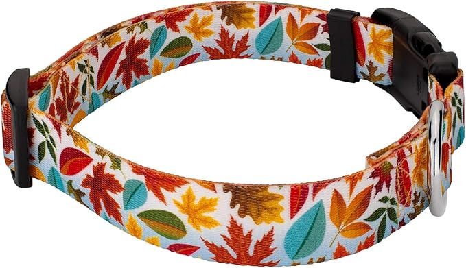 Country Brook Petz - Brisk Autumn Everyday Dog Collar and Leash - Awesome Autumn Collection Featuring Designs You Will Fall for (1 Inch, Extra Large)