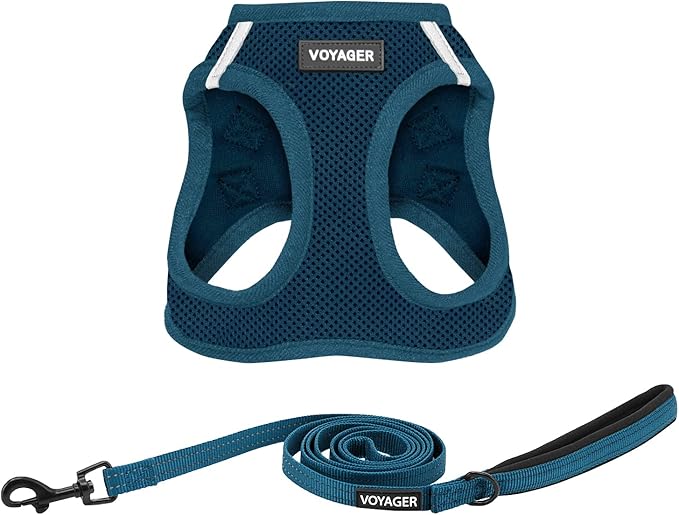 Best Pet Supplies Voyager Step-in Air All Weather Mesh Harness and Reflective Dog 5ft Leash Combo with Neoprene Handle, for Small, Medium and Large Breed Puppies - Set (Blue), X-Small