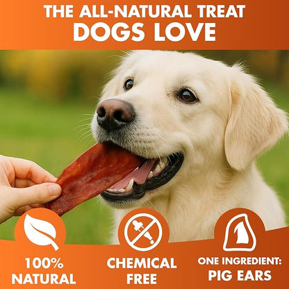 BRUTUS & BARNABY Pig Ear Halves for Dogs, 40 Ct. – All-Natural Single Ingredient Dog Chews, Slow Cooked & Fully Digestible Rawhide Alternative