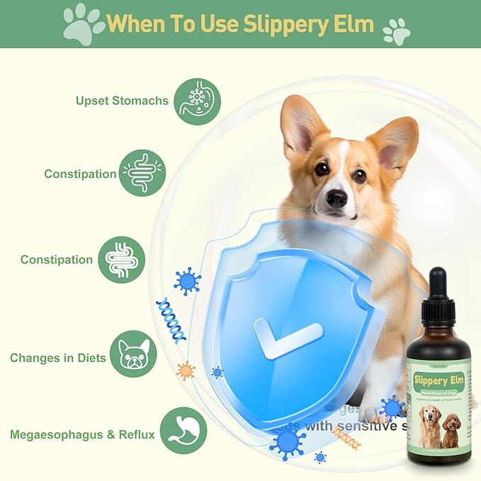 Slippery Elm for Dogs, Organic Slippery Elm Inner Bark Extract Drops for Sensitive Stomach Dogs, Support Digestive Tract Gut Lining Throat Health Bowel Function, Herbal Liquid Formula 2 Fl Oz