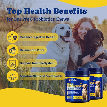 Probiotics for Dogs - Dog Probiotics for Digestive Health, Yeast, Itchy Skin, Gut Health, Immune & Skin - 6 Billion CFUs, Duck & Pear Flavor - with Prebiotics & Digestive Enzymes, 2 Pack