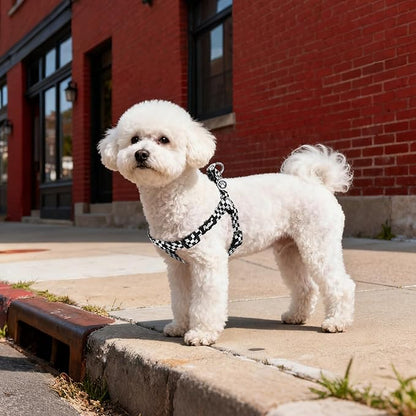 PUPTECK No Pull Dog Harness Soft Adjustable Basic Nylon Step in Puppy Vest Outdoor Walking with ID Tag, Checkered Black&White, M