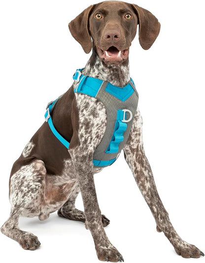 Kurgo Journey Air Dog Harness - Secure Fit for Active Dogs - Padded Chest - Lightweight Ripstop Fabric - Breathable Mesh - Reflective Trim - Back Assist Handle - Blue - Medium