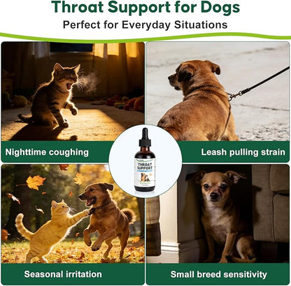 Throat Support for Dogs – Trachea & Respiratory Support Drops for Collapsed Trachea, Occasional Cough & Throat Discomfort – Slippery Elm & Mullein – for Dogs & Cats – Liquid Formula, 2 fl oz
