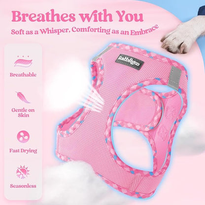 rabbitgoo Dog Harness Small Sized and Leash Set, Step in Soft Light Puppy Vest, Breathable Mesh Pet Harness, Reflective for Safe Easy Walking, Pink & Plaid Trim XXS