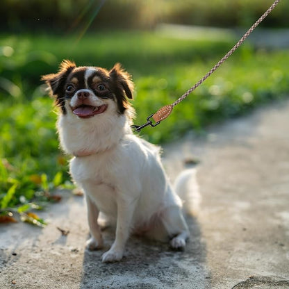 Mile High Life Small Dog Leash, Thin Rope Leash with Genuine Leather Connection and Heavy Duty Metal Clasp, Great for Small Medium Dogs(Brown,72 Inch-1/3)