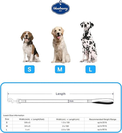 Blueberry Pet 3M Reflective Pastel Color Dog Leash with Soft & Comfortable Handle, 5 ft x 5/8", Baby Blue, Small, Leashes for Dogs