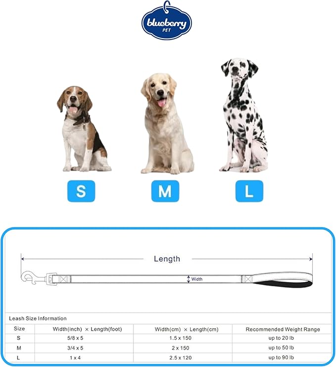 Blueberry Pet 3M Reflective Pastel Color Dog Leash with Soft & Comfortable Handle, 5 ft x 5/8", Lavender, Small, Leashes for Dogs