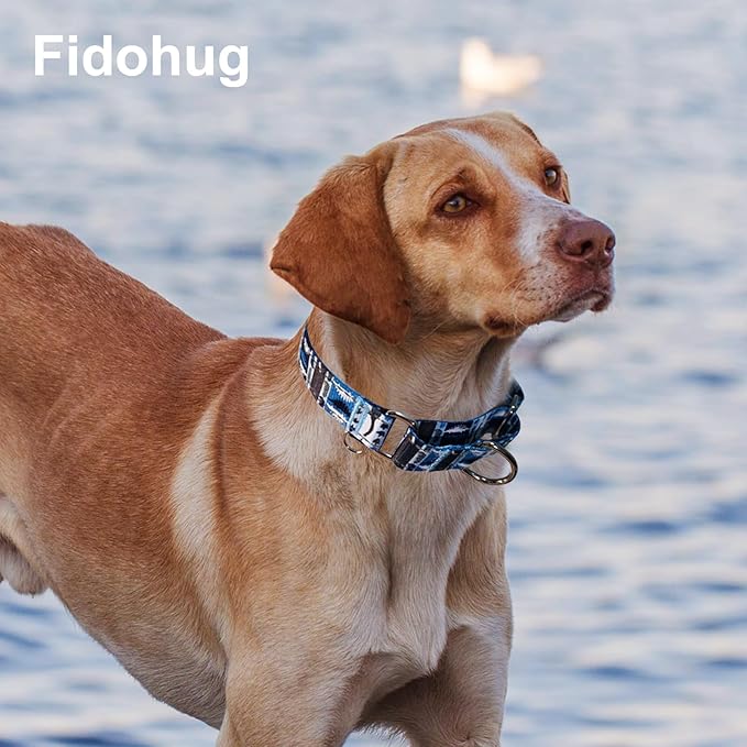 Reflective Martingale Collar for Dogs Nylon Training Collar with No Buckle, No Pull Escape Proof Dog Collar for Large Dogs（Blue Dinosaur，L）