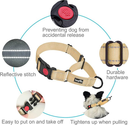 haapaw Martingale Dog Collar with Quick Release Buckle Reflective Dog Training Collars for Small Medium Large Dogs