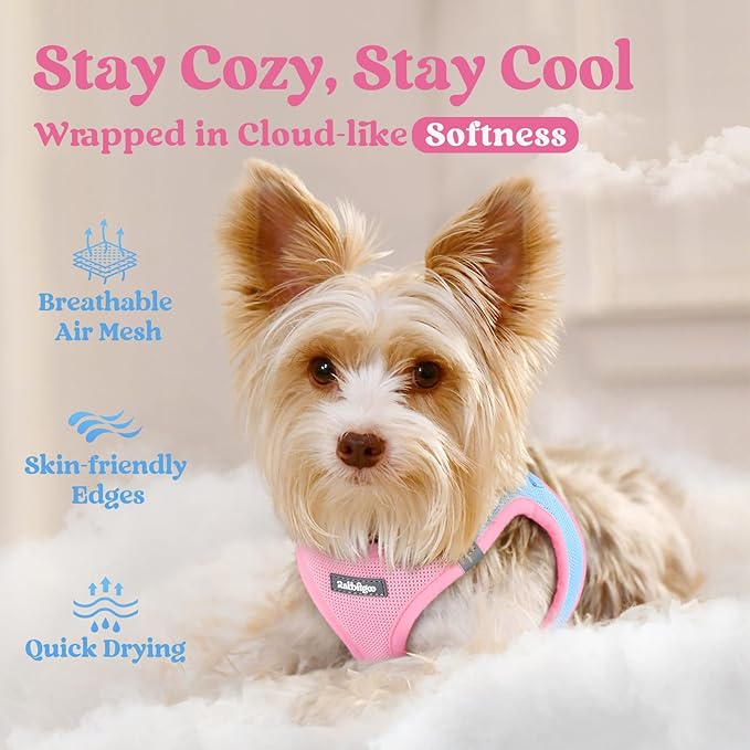 rabbitgoo Small Dog Harness, Step-in Soft Mesh Puppy Vest with Safety Buckle, Breathable Reflective Pet Harness for Small Sized Dogs, Blue & Light Pink S