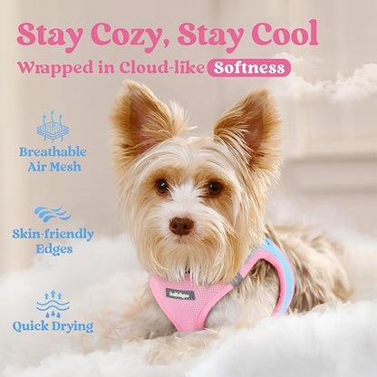 rabbitgoo Small Dog Harness, Step-in Soft Mesh Puppy Vest with Safety Buckle, Breathable Reflective Pet Harness for Small Sized Dogs, Blue & Light Pink S