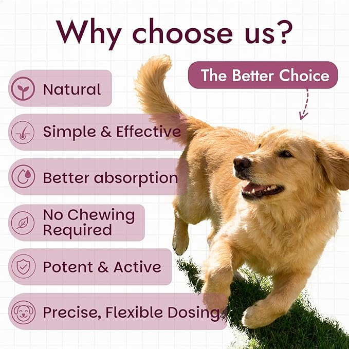 Pet Quercetin Curcumin Allergy Relief Drops, for Dogs & Cats Seasonal/Environmental Allergies & Pollen/Grass Allergies: Itchy Skin, Red Ears, Swollen Eyes, Cough & Sneezing, Scratching & Licking Paws