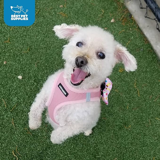 Best Pet Supplies Voyager Step-in Air Harness - All Weather Mesh, Reflective, No Pull Harness for Dogs, Cats - Secure with Hook & Loop Fastener, Buckle, Double D-Rings - Pink, S