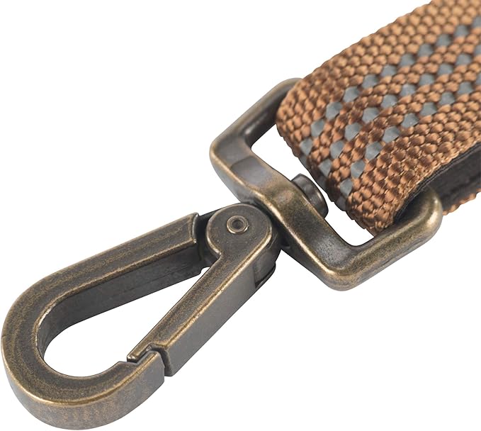 Carhartt Pet Durable Nylon Webbing Shock Absorbing Leash for Dogs, Reflective Stitching for Visibility, Carhartt Brown (Shock Absorbing), Large