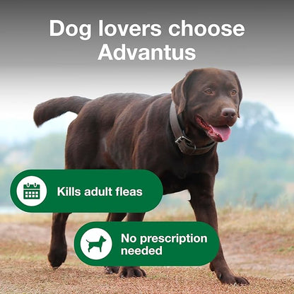 Advantus Dog Fast Acting Oral Flea Treatment Soft Chewable 23 - 110 lbs. | 30 ct.