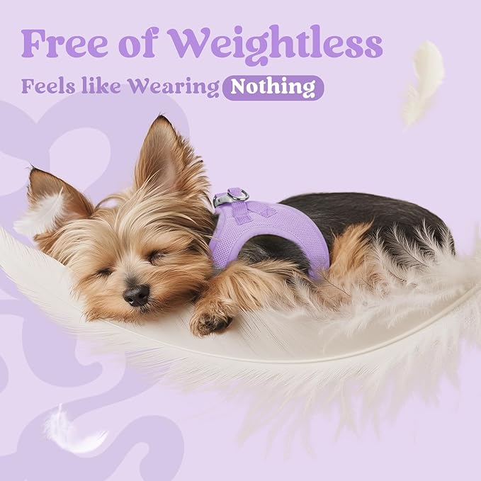rabbitgoo Small Dog Harness, Step-in Soft Mesh Puppy Vest with Safety Buckle, Breathable Reflective Pet Harness for Small Medium Dogs, Light Purple L