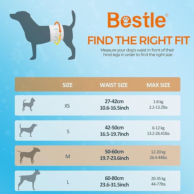 Bestle Male Dog Wrap, Disposable Dog Diapers, 40 Count, M (Waist 19.7”-23.6”), Wetness Indicator, Ultra Protection, Leak Proof, Super Absorbent, Soft