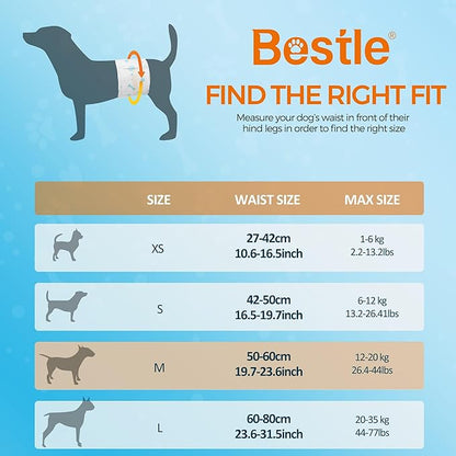 Bestle Male Dog Wrap, Disposable Dog Diapers, 40 Count, M (Waist 19.7”-23.6”), Wetness Indicator, Ultra Protection, Leak Proof, Super Absorbent, Soft