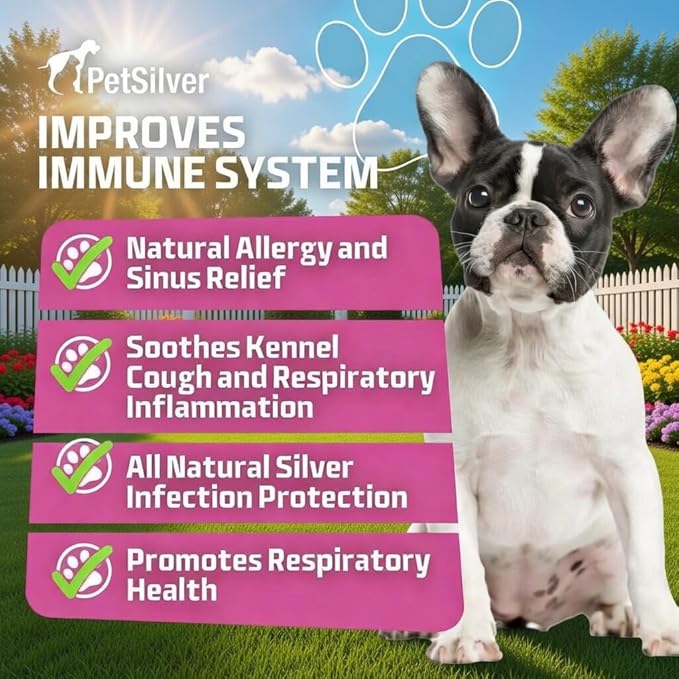 PetSilver Immune Support, Natural Nebulizer Solution, Promotes Respiratory Health in Cats & Dogs, Allergies, Sinus & Cough Treatment, Easy to Use, Patented Chelated Silver, Made in the USA, 16 fl oz