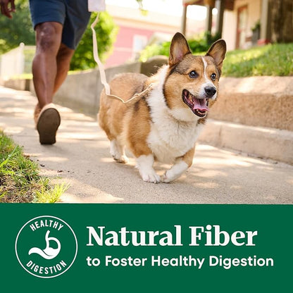 Nutro Natural Choice Adult Dry Dog Food, Salmon & Brown Rice Recipe, 4.5 lb. Bag