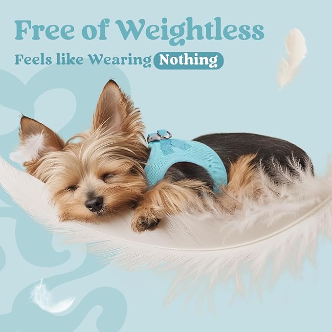 rabbitgoo Small Dog Harness, Step-in Soft Mesh Puppy Vest with Safety Buckle, Breathable Reflective Pet Harness for Small Medium Dogs, Mint Blue XL