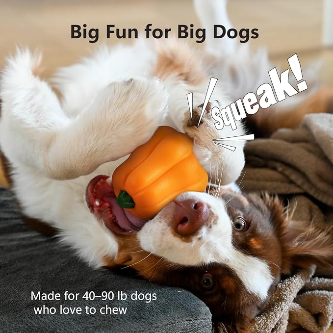 Large Dog Chew Toy with Squeaker, Tough TPR Pumpkin Toy for Strong Chewers (40 lbs+), Textured Dental Ridges, Interactive Indoor & Outdoor Fetch Toy
